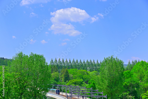 杜の都　仙台　西公園より新緑を愛でる © rujin