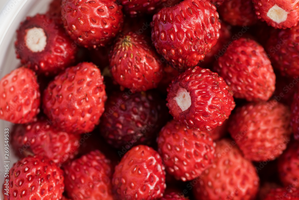 Wild strawberries in close up, shallow depth of field. Wild strawberries in close up, shallow depth of field.