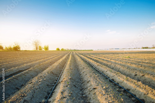 Beautiful view of the plowed field on a sunny day. Preparation for planting vegetables. Agriculture. Farmland. Soft selective focus