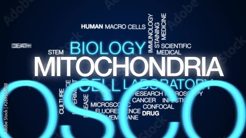 Mitochondria animated word cloud. Kinetic typography. photo