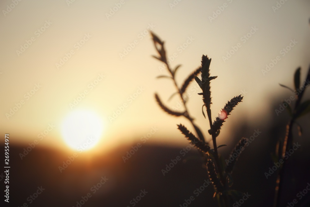 Obraz premium Sonnenuntergang