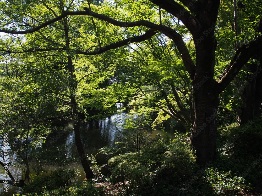 庭園 庭園
