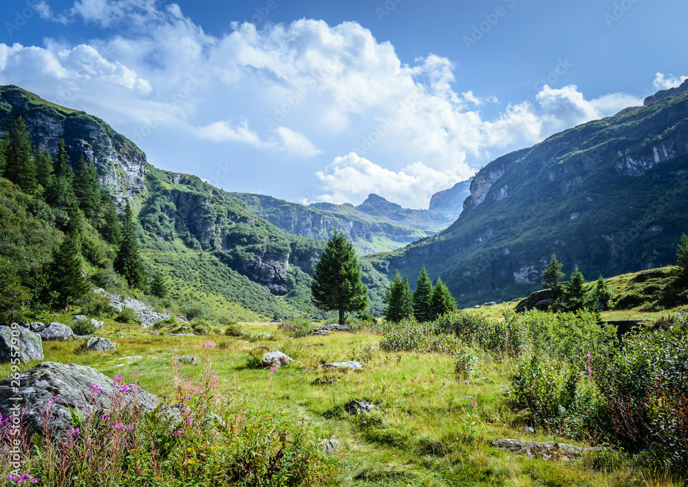 Beautiful idyllic swiss Alps landscape with mountains  in summer, Freiiburg Kärpf, Canton Glarus