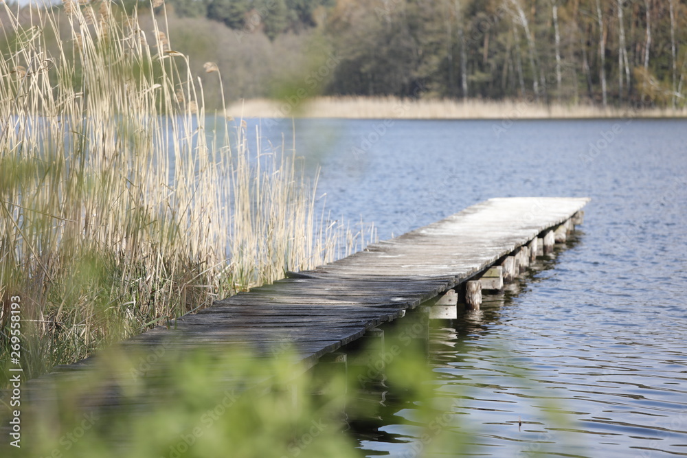 Bootssteg aus Holz an See, Wasser und Schilf in Naturschutzgebiet in Brandenburg Deutschland