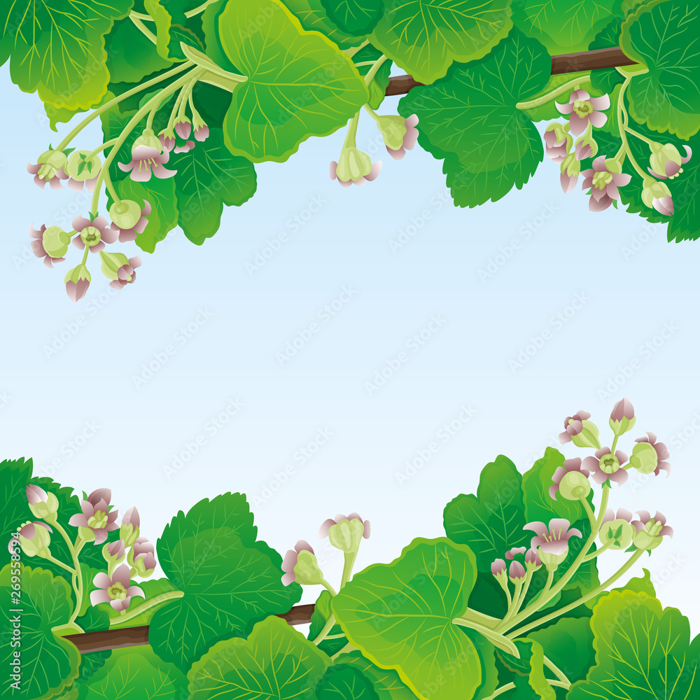 Obraz premium Frame of currant leaves and flowers on a blue background.