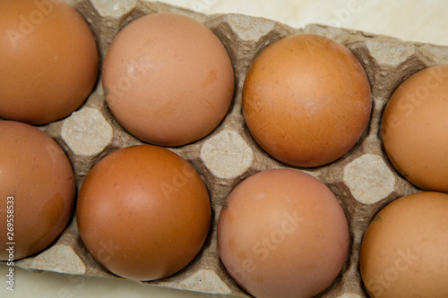 chicken eggs in a cage closeup