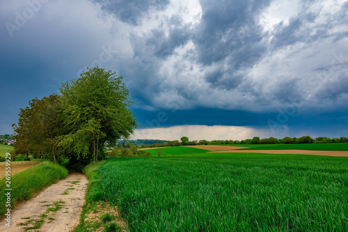 Fototapeta Naklejka Na Ścianę i Meble -  The path in the green fields with the dark, stormy clouds in the background