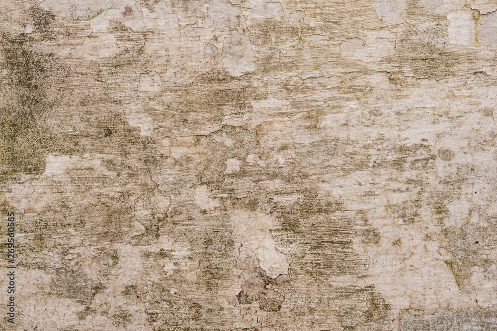 Texture, wall, concrete, it can be used as a background. Wall fragment with scratches and cracks Texture, wall, concrete, it can be used as a background. Wall fragment with scratches and cracks