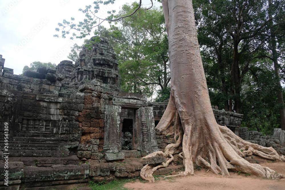Fototapeta premium Temple de Ta Prohm à Angkor, Cambodge