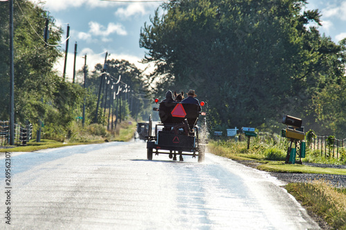 Amish Carriage in Wet Road
