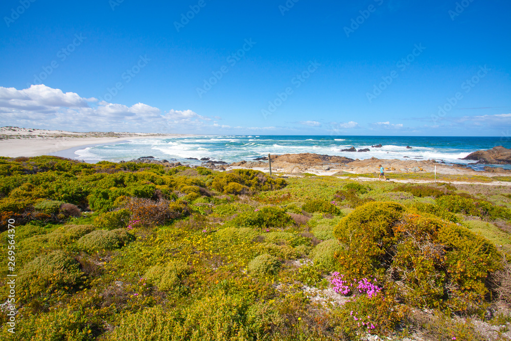 West Coast National Park, Western Cape