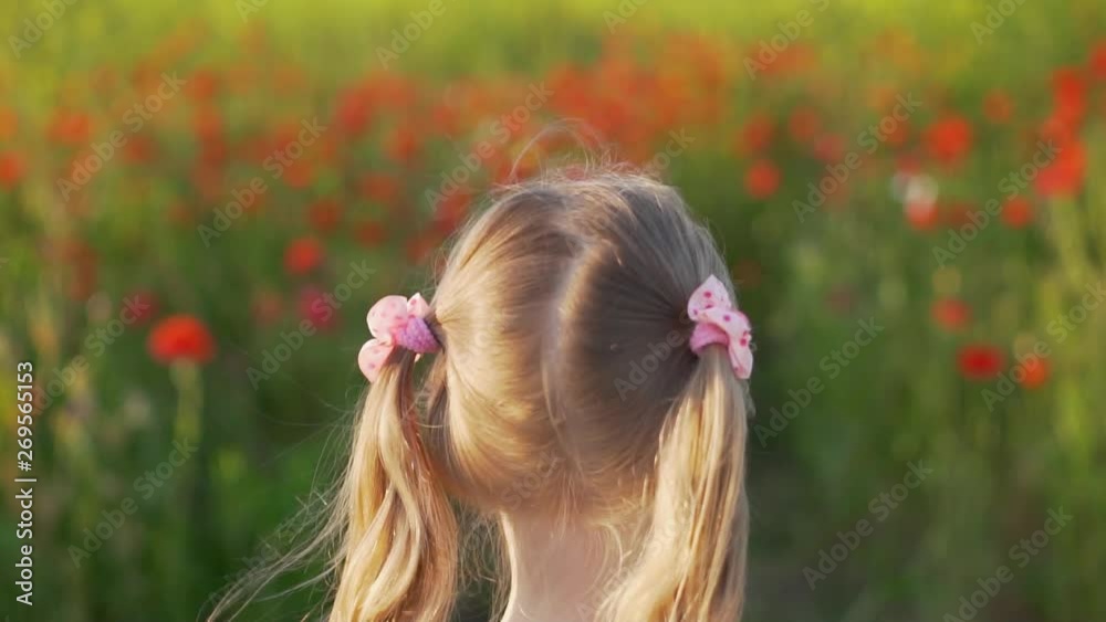 Little blonde girl child in yellow sundress walking on poppy field rear view, slow motion Little blonde girl child in yellow sundress walking on poppy field rear view, slow motion