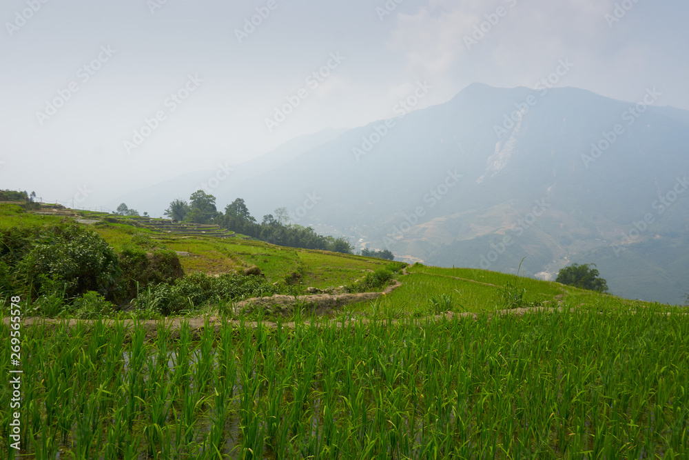 Fototapeta premium Fogy Landscape of Ricefields in lao chai sapa valey in Vietnam. Sapa, Vietnam.- 22. Mai. 2019.