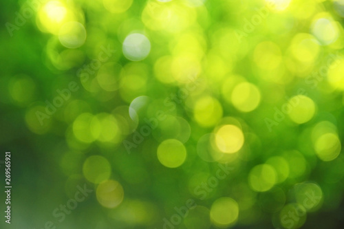 blurred green bokeh background