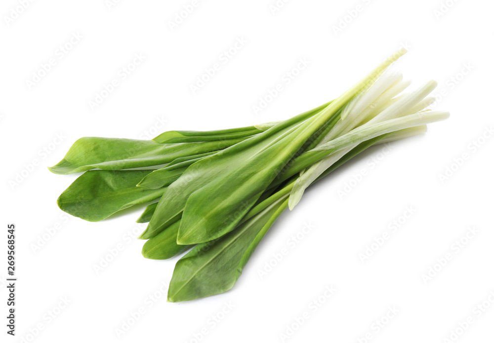 Fresh wild garlic or ramson isolated on white Fresh wild garlic or ramson isolated on white