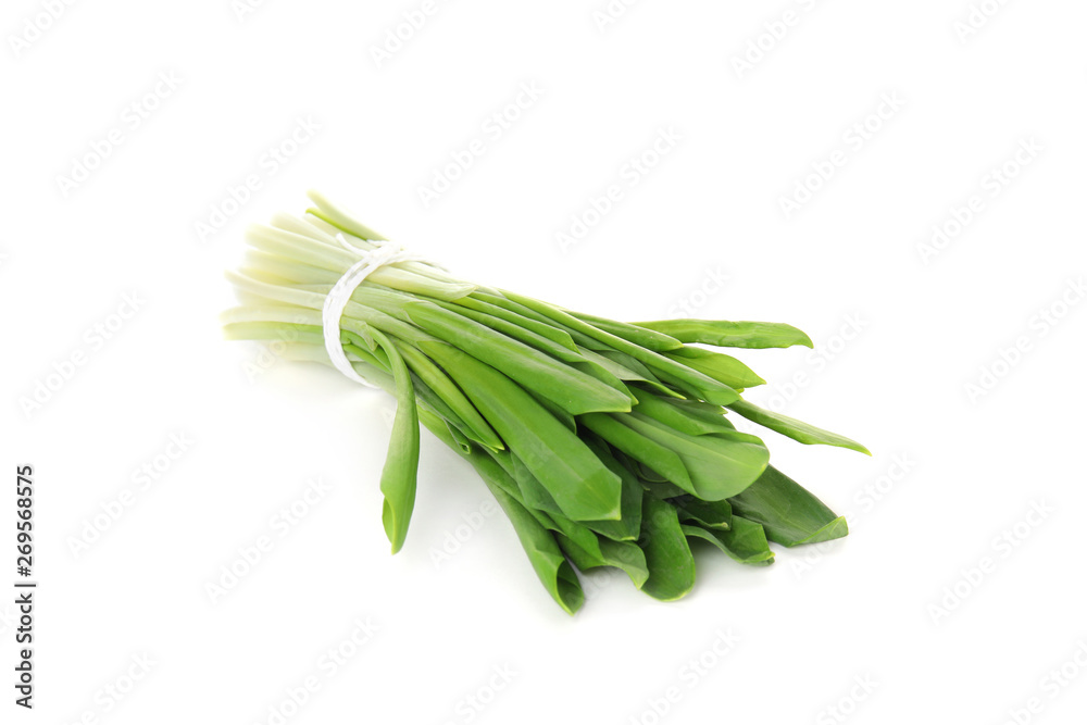 Bunch of wild garlic or ramson isolated on white Bunch of wild garlic or ramson isolated on white