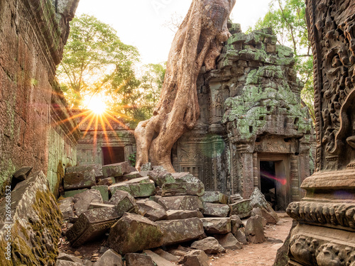 Temple de Ta Phrom à Angkor