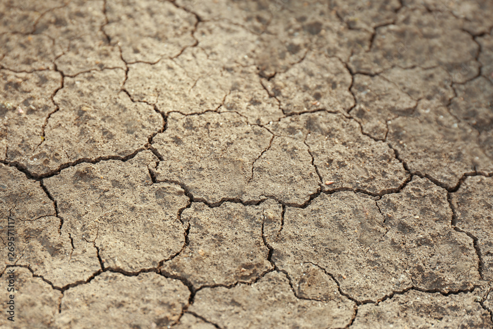 Dry textured ground surface as background, closeup. Thirsty soil Dry textured ground surface as background, closeup. Thirsty soil