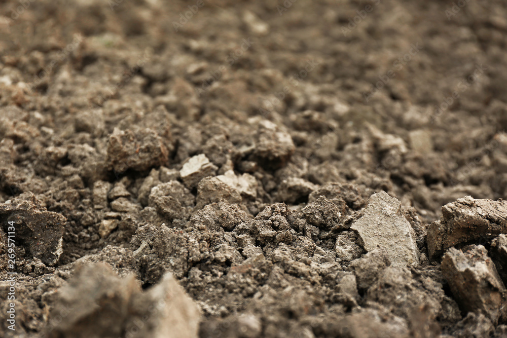 Textured ground surface as background, closeup. Fertile soil for farming and gardening Textured ground surface as background, closeup. Fertile soil for farming and gardening