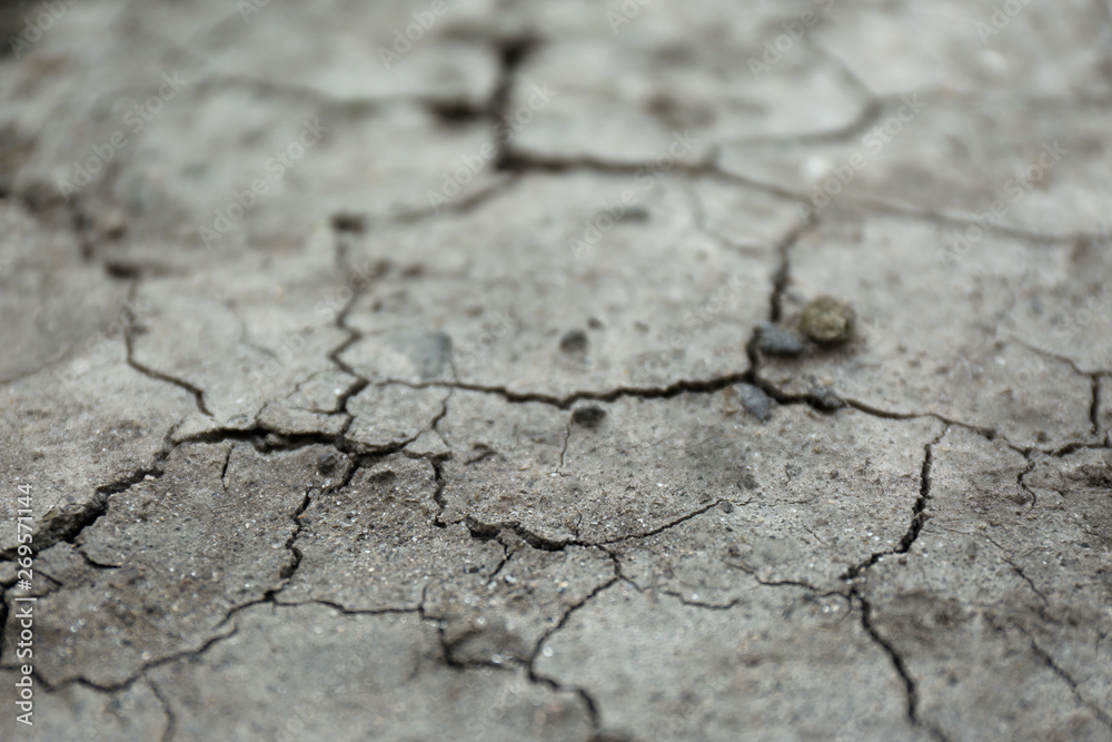 Fototapeta premium Dry textured ground surface as background, closeup. Thirsty soil