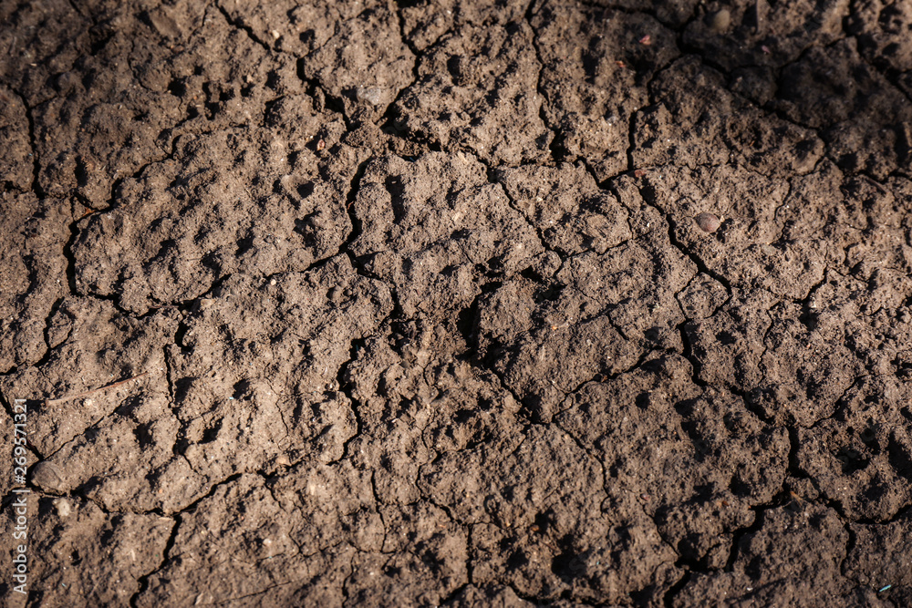 Cracked ground surface as background, top view. Thirsty soil