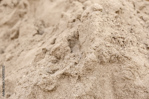Textured sandy soil surface as background, closeup