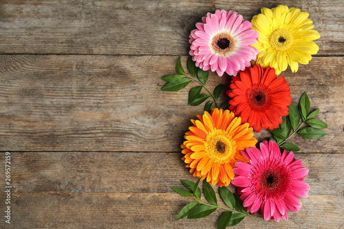 Fotografie, Tablou Composition with beautiful bright gerbera flowers on wooden background, top view