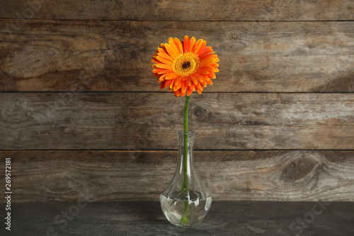 Beautiful bright gerbera flower in vase on table against wooden background
