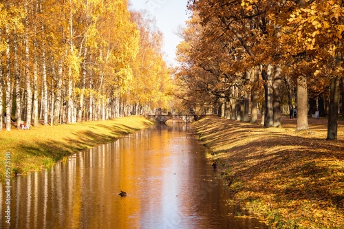 Autumn park in clear weather. Golden autumn. Autumn in the park. Yellow foliage.