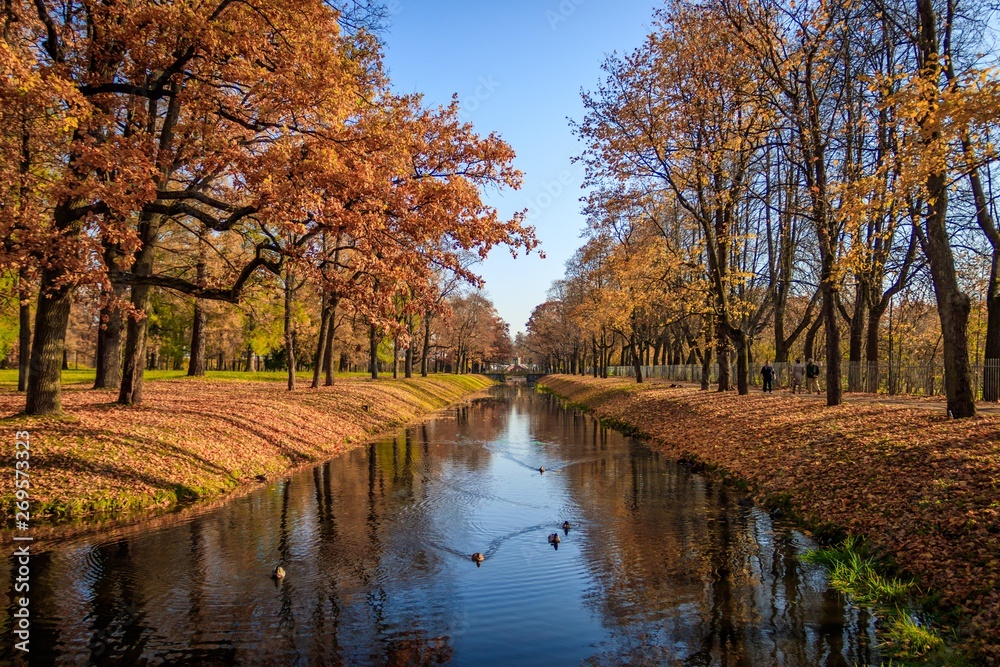Fototapeta premium Autumn park in clear weather. Golden autumn. Autumn in the park. Yellow foliage.