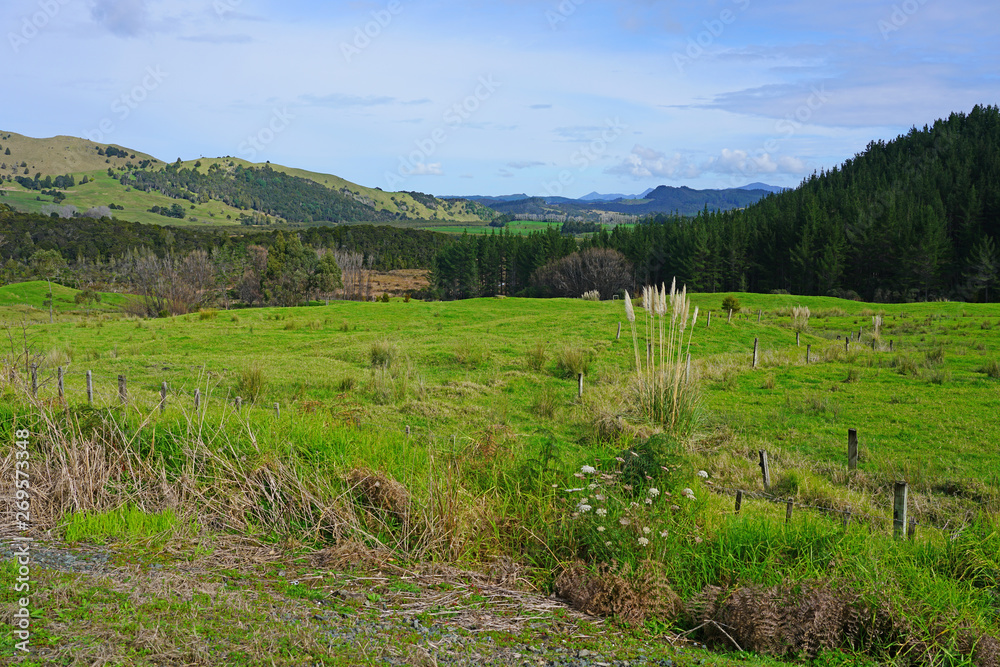 Green fields and mountains in the Far North region of the North Island of New Zealand