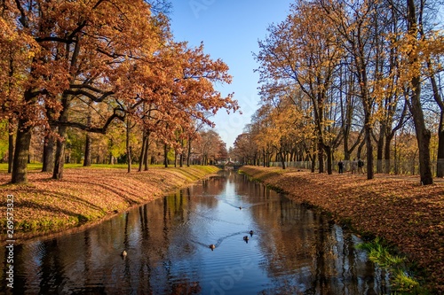 Autumn park in clear weather. Golden autumn. Autumn in the park. Yellow foliage.