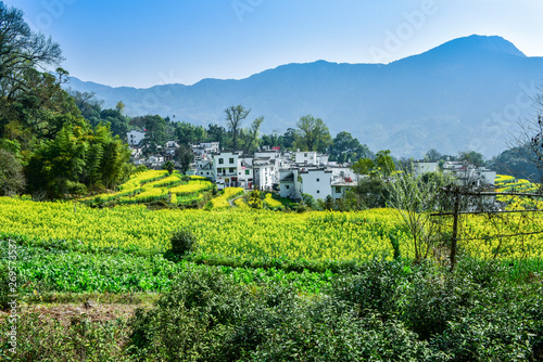 Spring of Wuyuan Ridge in China - March 22, 2018, a beautiful mountain village with flowers blooming, was photographed in Jiangling, Wuyuan County, Shangrao City, Jiangxi Province, China. photo