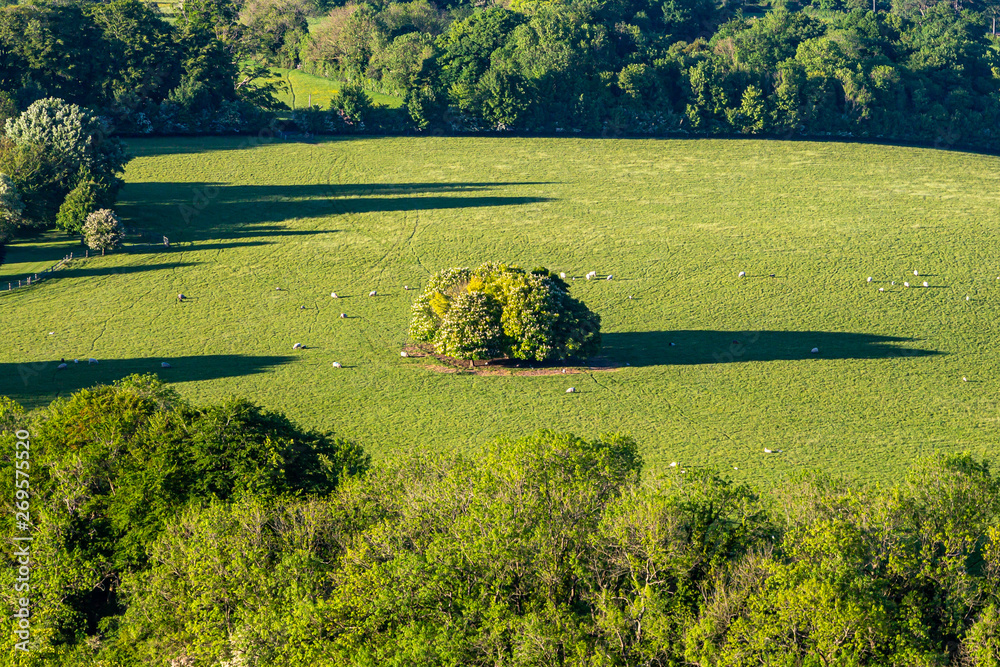 Naklejka premium Looking down on a green Sussex landscape from Ditchling Beacon, with long evening shadows