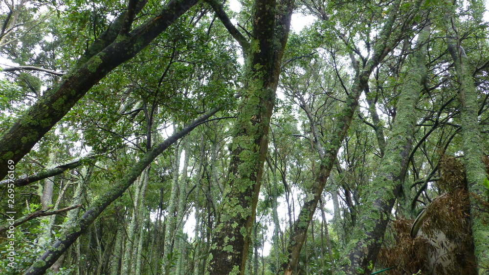 Naklejka premium Ons. Island in Rias Baixas. Galicia. Spain