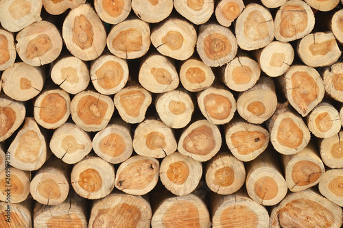 close up of stacked logs