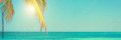 Fototapeta Naklejka Na Ścianę i Meble -  Sun and palm leaves, blue sky, caribbean sea, summer and travel panoramic background