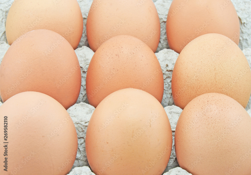 eggs in cardboard box eggs in cardboard box