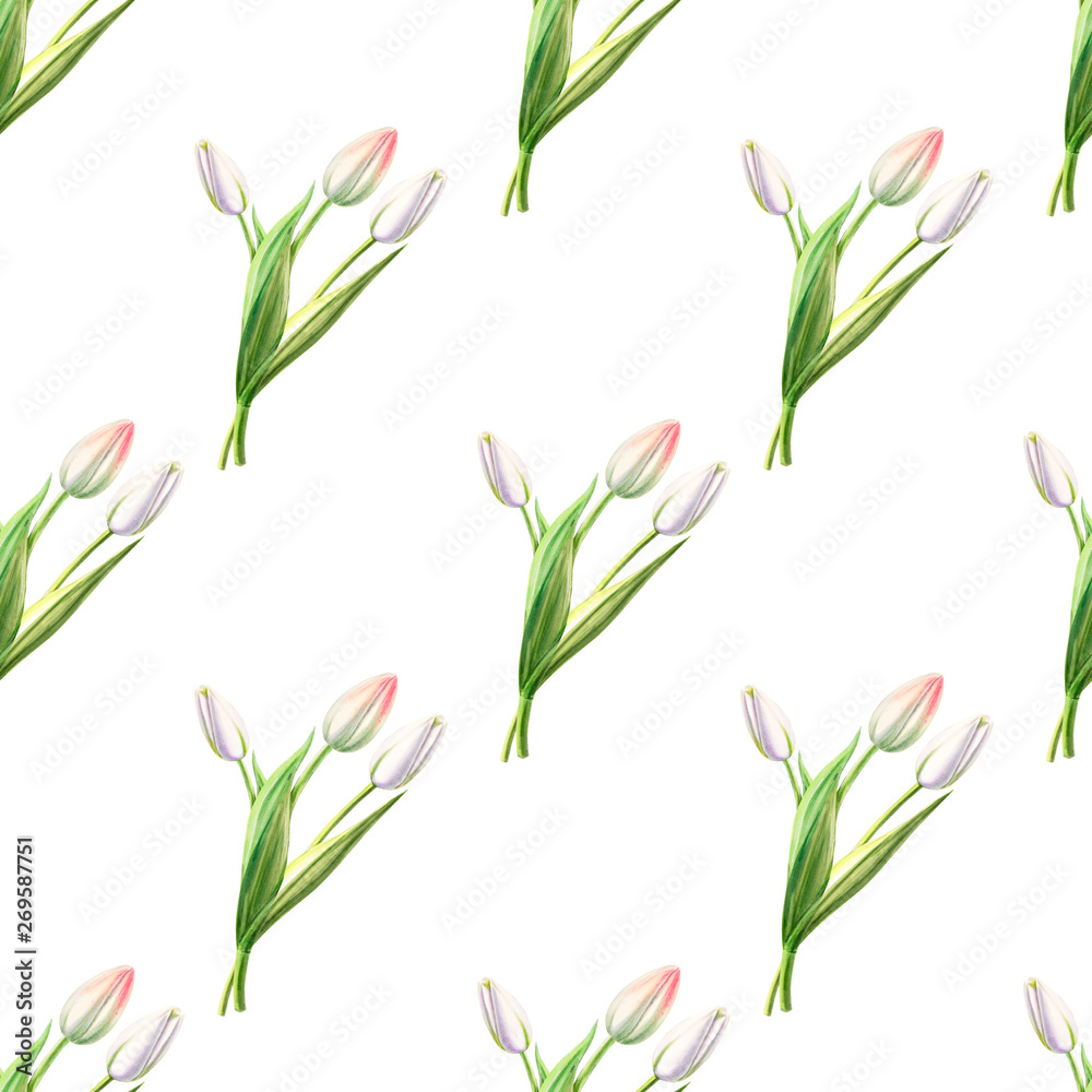 Seamless pattern from beautiful white tulips. Floral collection. Marker drawing. Watercolor painting. Floral composition of design elements. Greeting card. Painted background. Hand drawn illustration. Seamless pattern from beautiful white tulips. Floral collection. Marker drawing. Watercolor painting. Floral composition of design elements. Greeting card. Painted background. Hand drawn illustration.