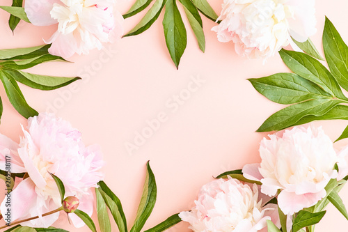 Fototapeta Naklejka Na Ścianę i Meble -  Flat lay frame with light pink peonies on a pink background