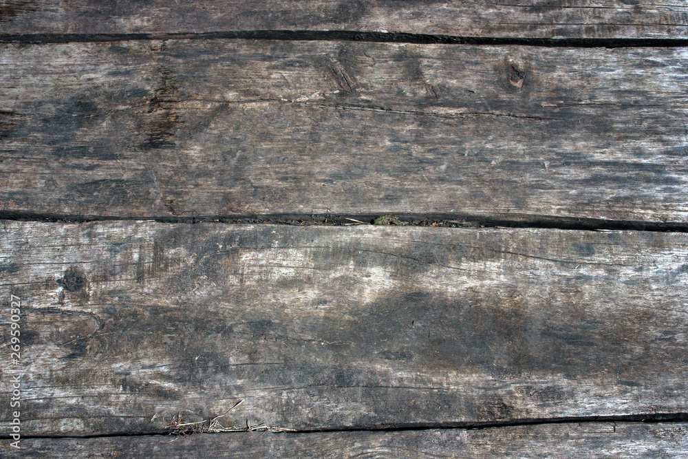 The wall of old boards natural wood. Pattern natural tree texture. The natural surface of the wooden wall cladding The wall of old boards natural wood. Pattern natural tree texture. The natural surface of the wooden wall cladding