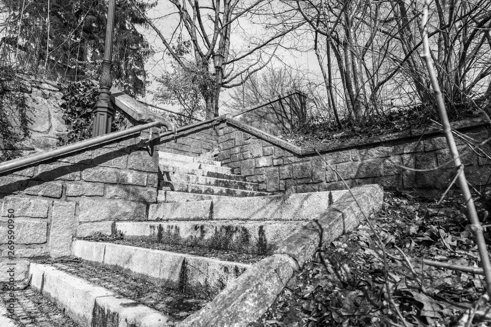 Fototapeta premium Schwarz weiß Bild von Steintreppen in einem Park von Oben nach Unten, Deutschland