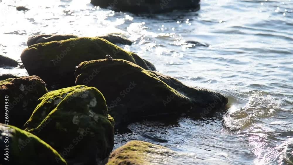 Sea waves and coasts with beautiful rocks Sea waves and coasts with beautiful rocks