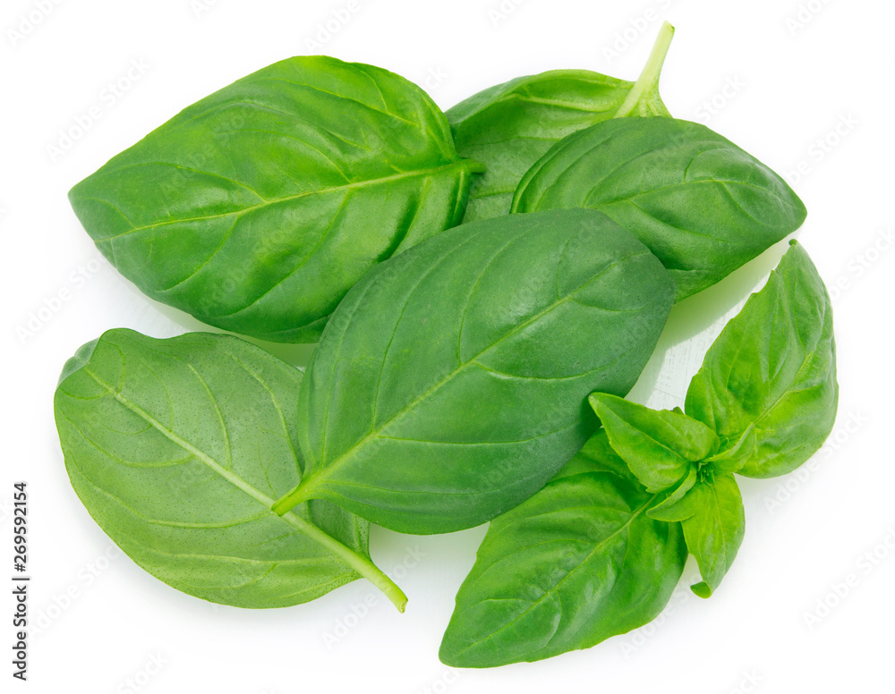 Fototapeta premium Fresh basil on white background