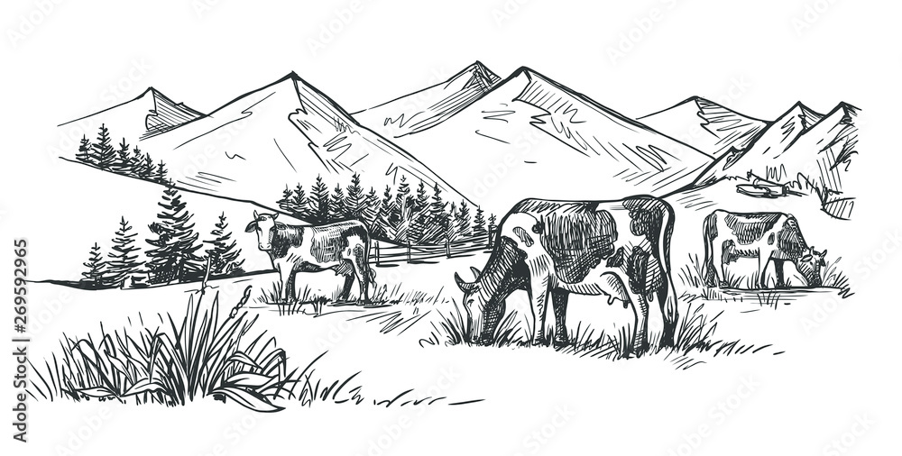 three cows in the mountains drawn by hand three cows in the mountains drawn by hand