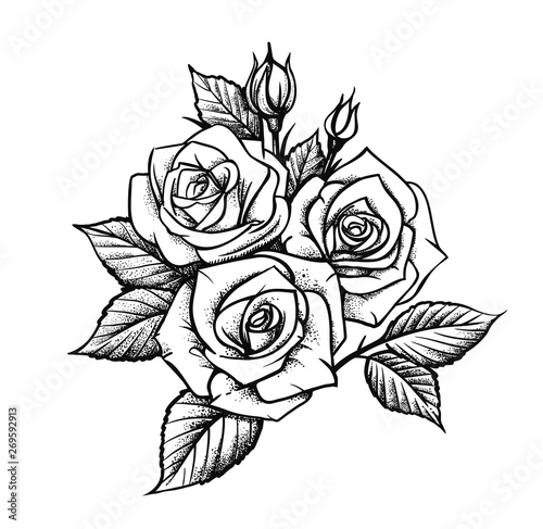 Rose by hand drawing. Beautiful flower on white background