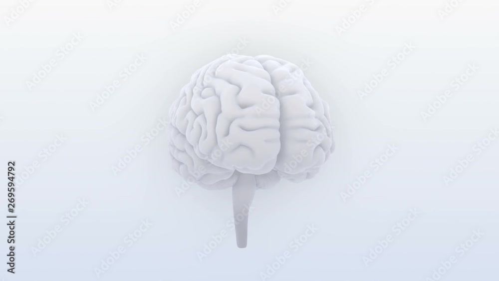 Brain head mind image background