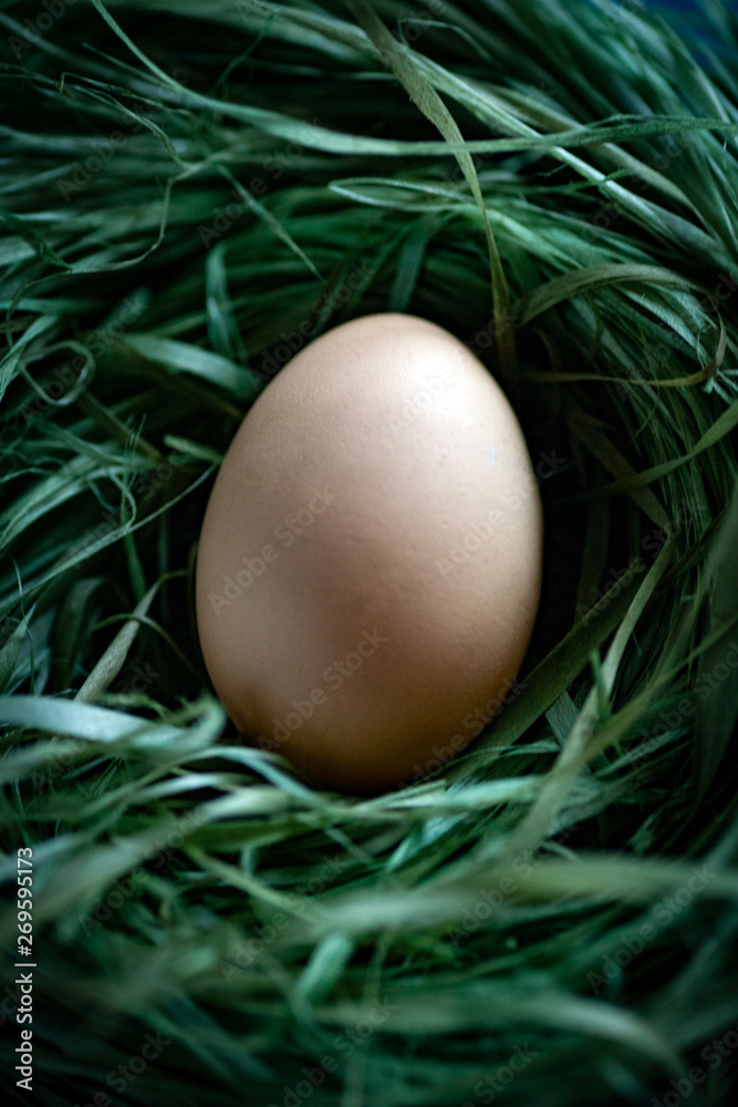 chicken eggs basket on the hey chicken eggs basket on the hey