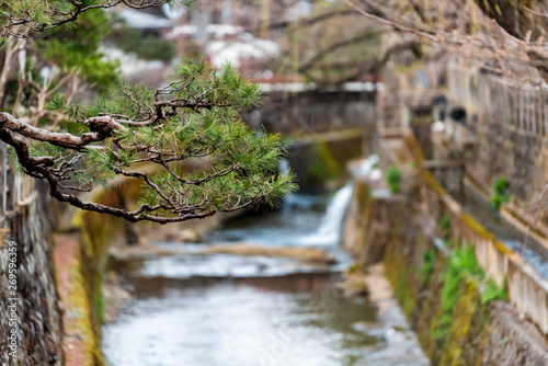 Takayama  Japan Small bridge by Enako river in Gifu prefecture in Japan with water in early spring in traditional village with closeup of pine tree branch