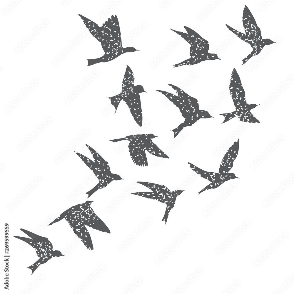 Buy Free Like a Bird Flying Birds Tattoo  Flock of Birds Online in India   Etsy